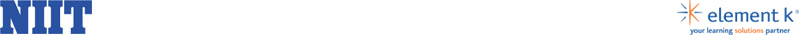 niit_ek800newlogo.jpg